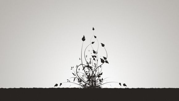 苏州农业职业技术