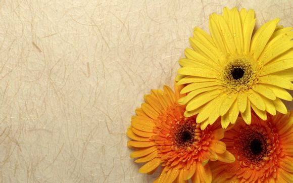 小米笔记本pro14锐龙版怎么样