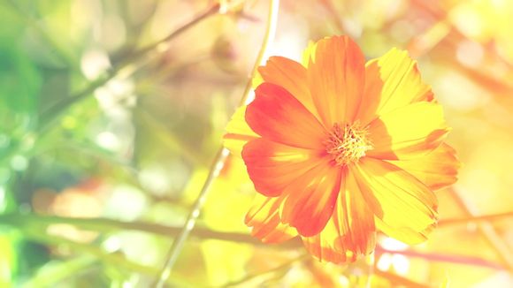 笔记本电脑保护壳有必要吗