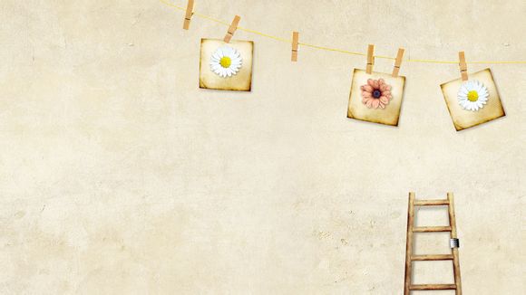 苹果5长度是多少厘米