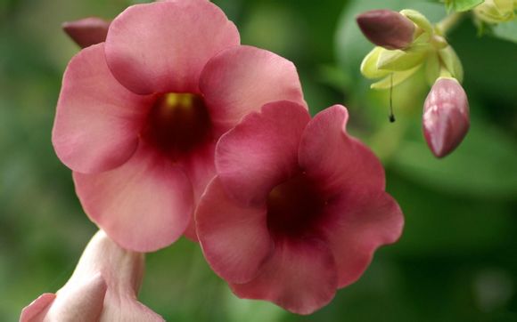 三星账户怎么注销