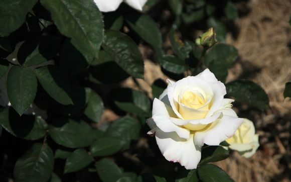 amda108700p相当于i几代