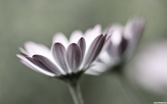 thinkpad与thinkbook哪个好