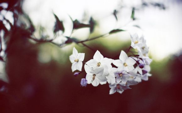 云存储技术有哪些