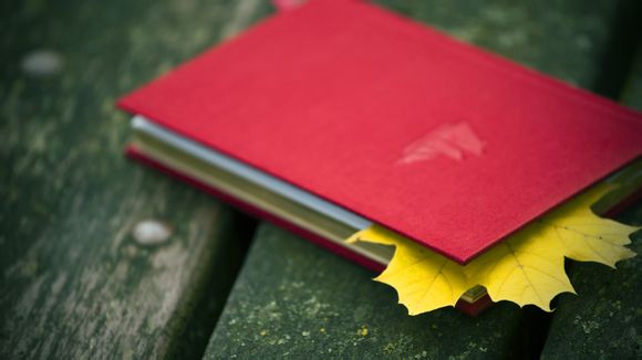 惠普台式电脑蓝牙功能在哪里开启