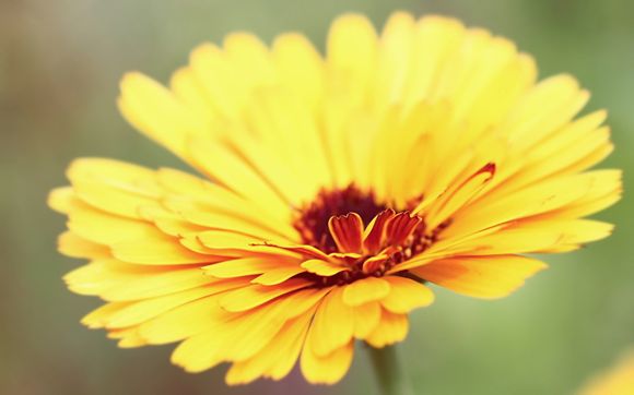 华为几个系列哪个好