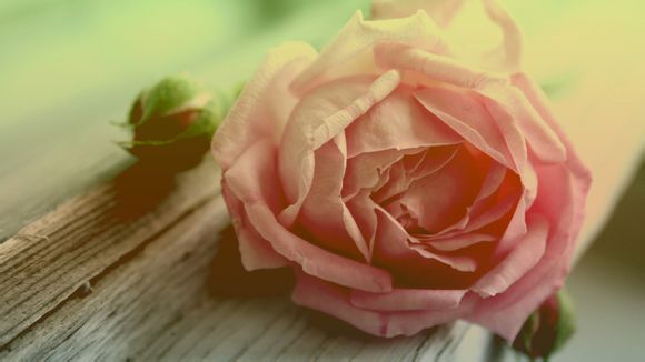 小米fastboot界面不动怎么退出