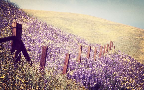 编程电脑配置推荐