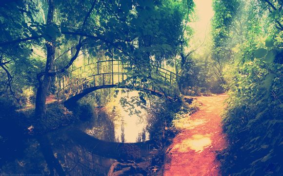 三星note10开发者选项怎么打开