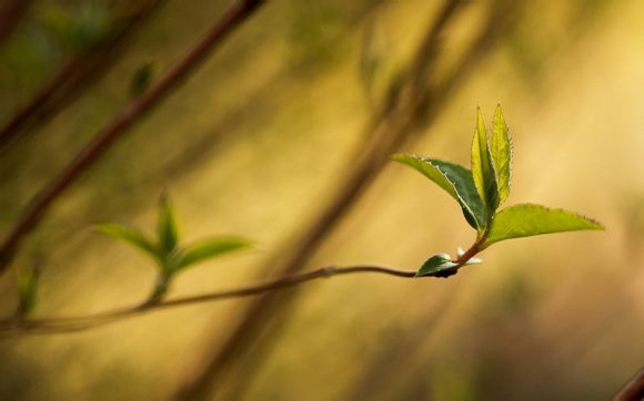 2020三星翻盖智能机