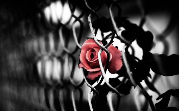 iphone6怎么清理内存垃圾