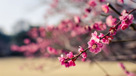 相机行业哪个更好