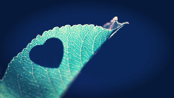 华为鸿蒙系统最新消息