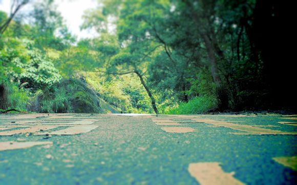 ipad的home键失灵怎么办