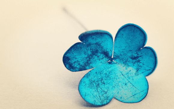 苹果12和12pro和max参数对比