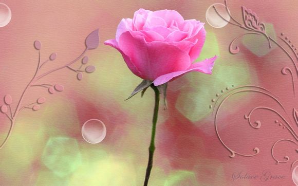 佳能相机500d使用教程