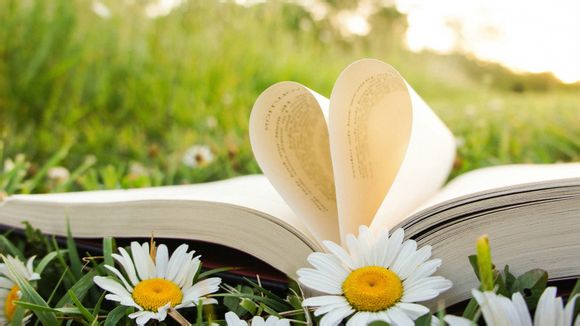 荣耀手环5和5i区别