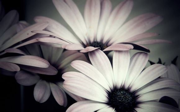 4g内存条价格是多少钱