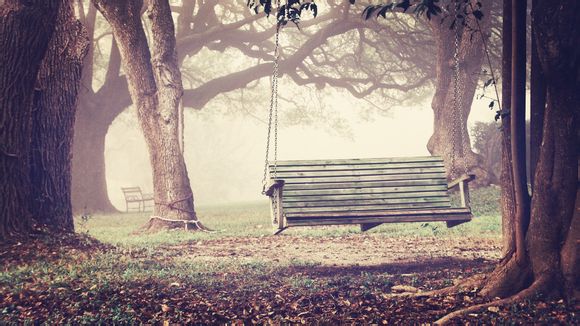 背投屏幕是什么