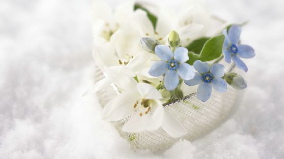 诺基亚225是什么系统