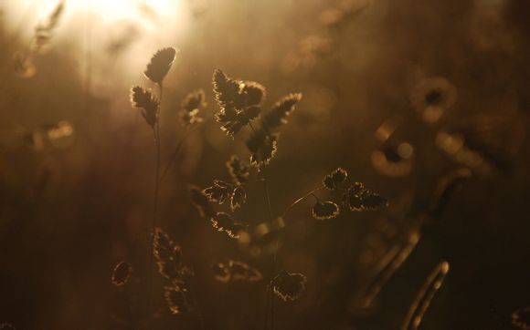 尼康d5000充电口在哪里