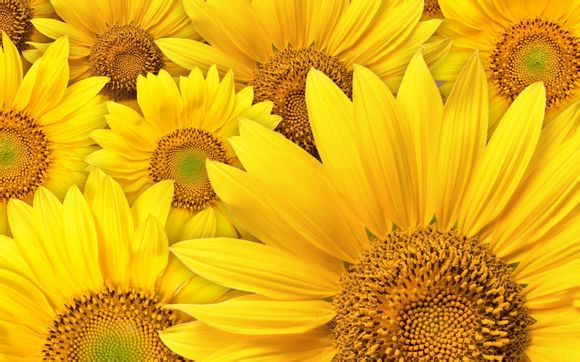 魅蓝e3怎么设置