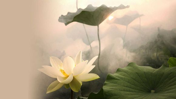 三星对开门冰箱型号大全