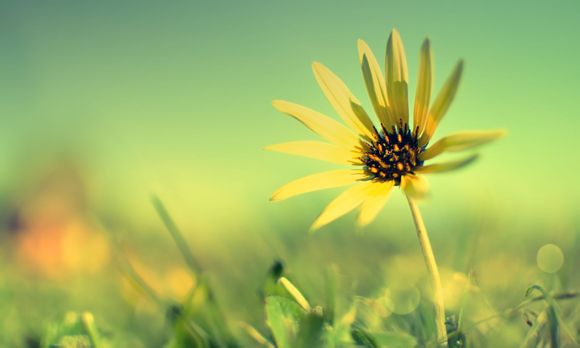 gtx560ti功耗是多少